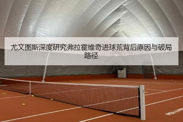 尤文图斯深度研究弗拉霍维奇进球荒背后原因与破局路径
